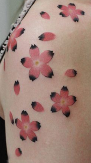 美女手臂精美的彩色樱花刺青图片