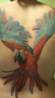 女性满背彩绘鹦鹉纹身图案
