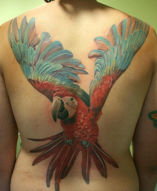 点击大图看下一张：女性满背彩绘鹦鹉纹身图案