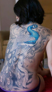 美女满后背的蓝孔雀纹身