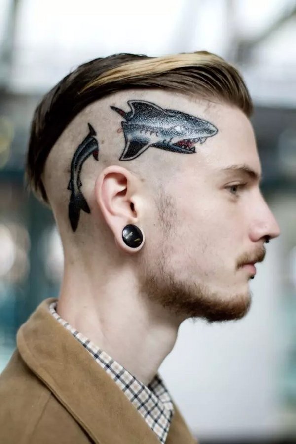点击大图看下一张：男士头部个性鲨鱼纹身