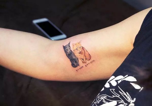 点击大图看下一张：手臂上两只可爱的小猫纹身
