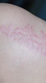后背成长的鹿隐形纹身图案
