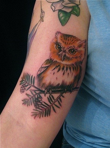点击大图看下一张：手臂可爱的猫头鹰刺青图片