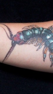 手臂令人毛骨悚然的蜈蚣纹身图案