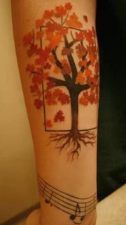 手臂好看的枫树纹身图案