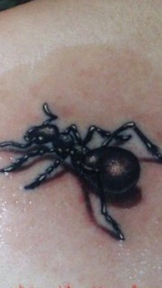逼真的3D蚂蚁纹身