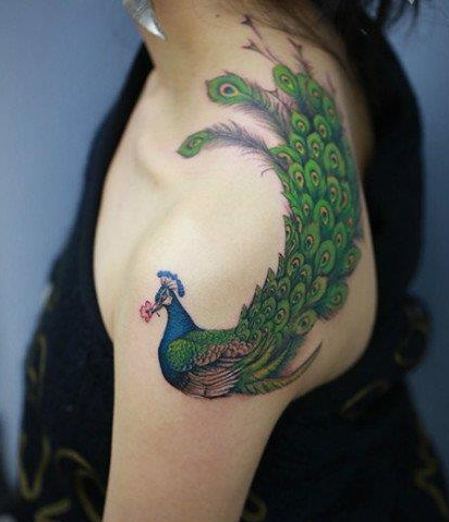 点击大图看下一张：美女肩背漂亮精美的彩色孔雀纹身图案