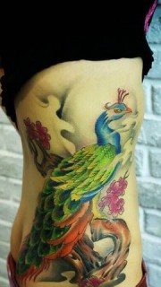 女生腰部漂亮的孔雀纹身图案