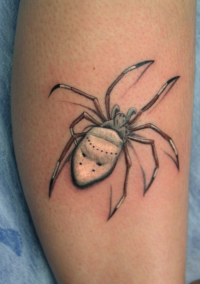 点击大图看下一张：小腿3d蜘蛛刺青图片