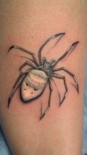 小腿3d蜘蛛刺青图片
