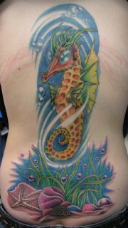 背部可爱的海马纹身图案