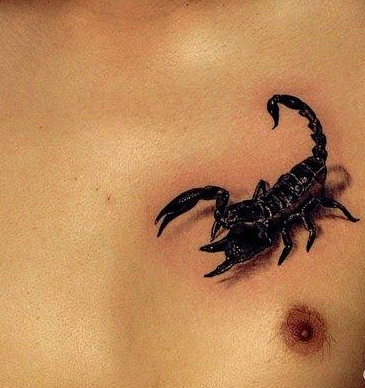 点击大图看下一张：男性胸部逼真的蝎子纹身图案