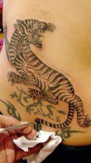美国影星安吉莉娜背后老虎纹身