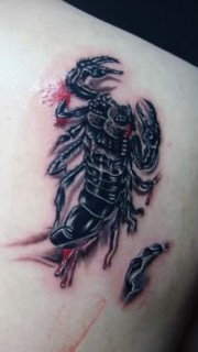 断尾蝎子个性纹身