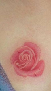 性感胸部粉色的玫瑰花纹身