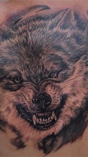 男性背部凶狠的狼纹身