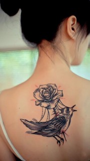 美女后背玫瑰鸟素描纹身图案
