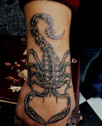点击大图看下一张：手背霸气的蝎子纹身图案
