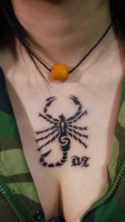 女性胸部图腾蝎子纹身图案