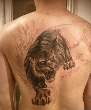 点击大图看下一张：后背凶猛逼人的老虎纹身图片