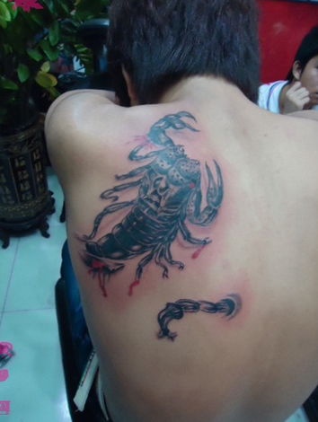 点击大图看下一张：时尚大气的肩部蝎子纹身