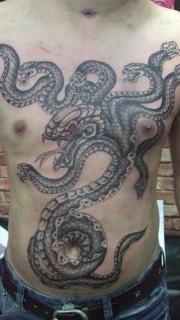 男性胸腹间霸气凶猛的九头蛇纹身