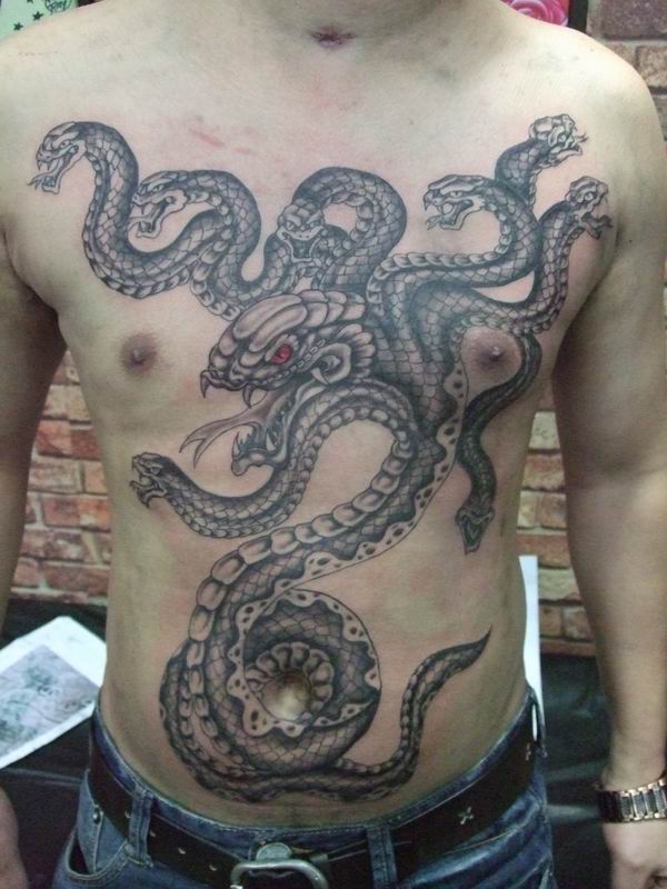 点击大图看下一张：男性胸腹间霸气凶猛的九头蛇纹身