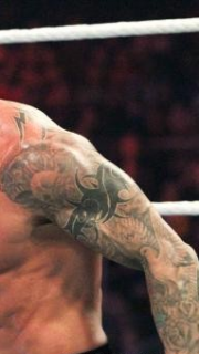 WWE世界重量级冠军兰迪奥顿左花臂纹身