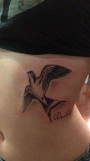 女孩子胸下小燕子纹身图片
