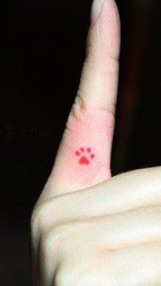 手指喜欢的猫咪爪印刺青图案