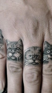 手指上各种可爱的小猫纹身