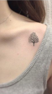 美女锁骨旁小树纹身图案