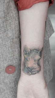手腕斯芬克斯猫个性纹身