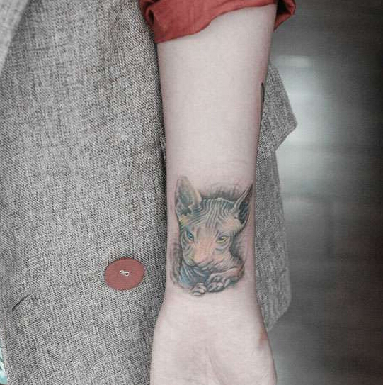 点击大图看下一张：手腕斯芬克斯猫个性纹身