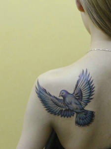 一直鸽子纹身图片落在女生肩膀上