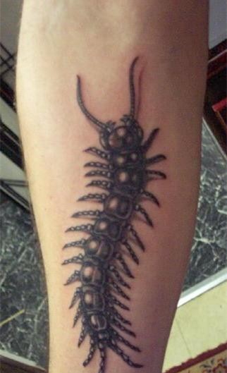 点击大图看下一张：手臂上恐怖吓人的蜈蚣纹身
