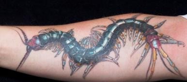 点击大图看下一张：手臂上恐怖吓人的蜈蚣纹身