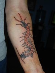 手臂上恐怖吓人的蜈蚣纹身