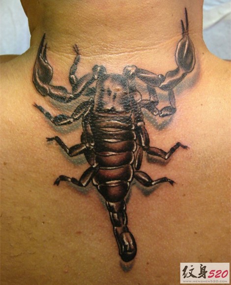 点击大图看下一张：最流行最经典的个性逼真蝎子纹身