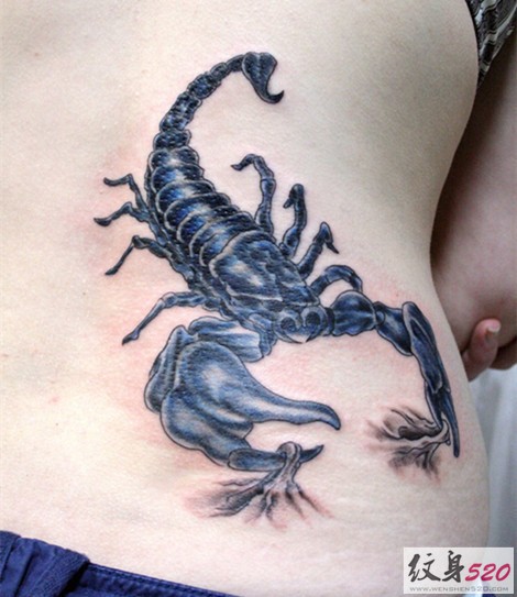 点击大图看下一张：最流行最经典的个性逼真蝎子纹身图3
