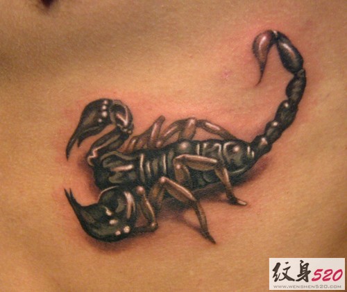 点击大图看下一张：最流行最经典的个性逼真蝎子纹身图4