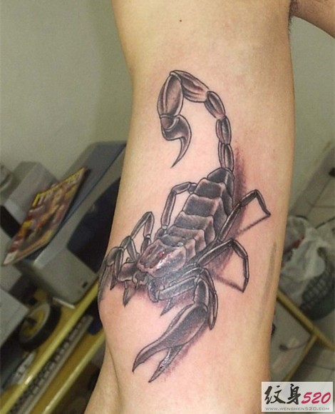 点击大图看下一张：最流行最经典的个性逼真蝎子纹身图5