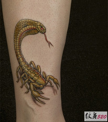 点击大图看下一张：最流行最经典的个性逼真蝎子纹身图6