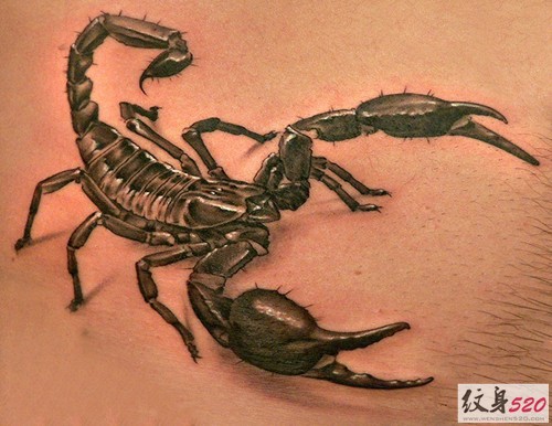 点击大图看下一张：最流行最经典的个性逼真蝎子纹身图7