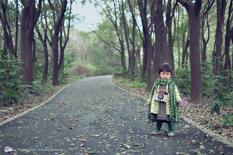 点击大图看下一张：绿时光