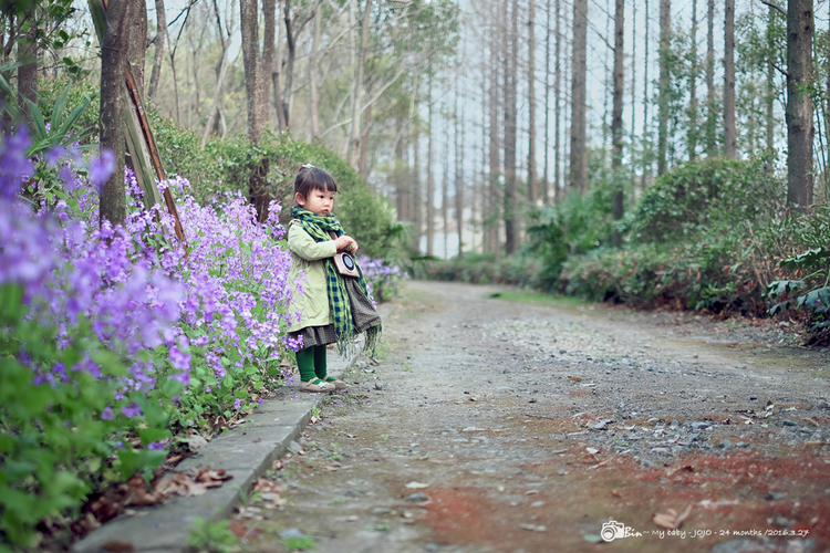 点击大图看下一张：绿时光