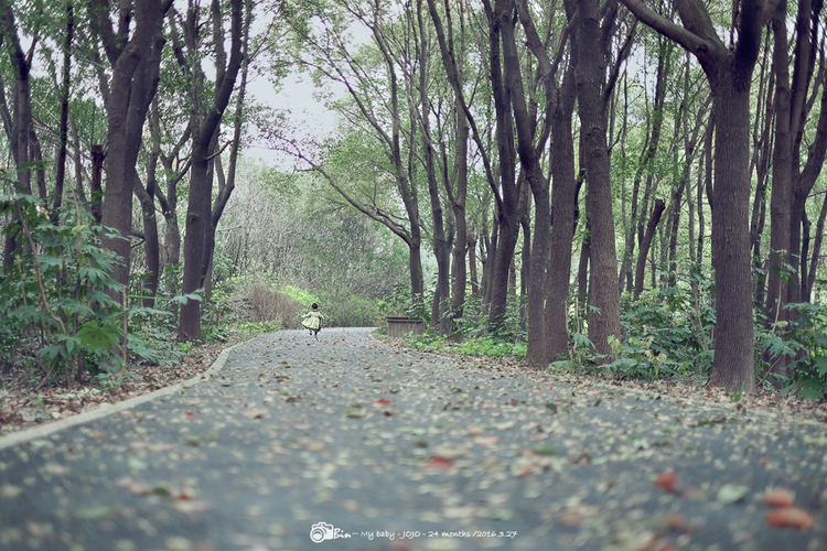 点击大图看下一张：绿时光