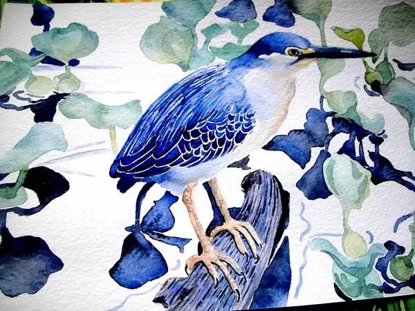 点击大图看下一张：色感蔬果花卉