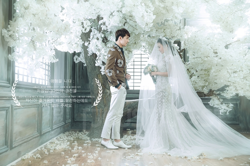 点击大图看下一张：纯白之恋